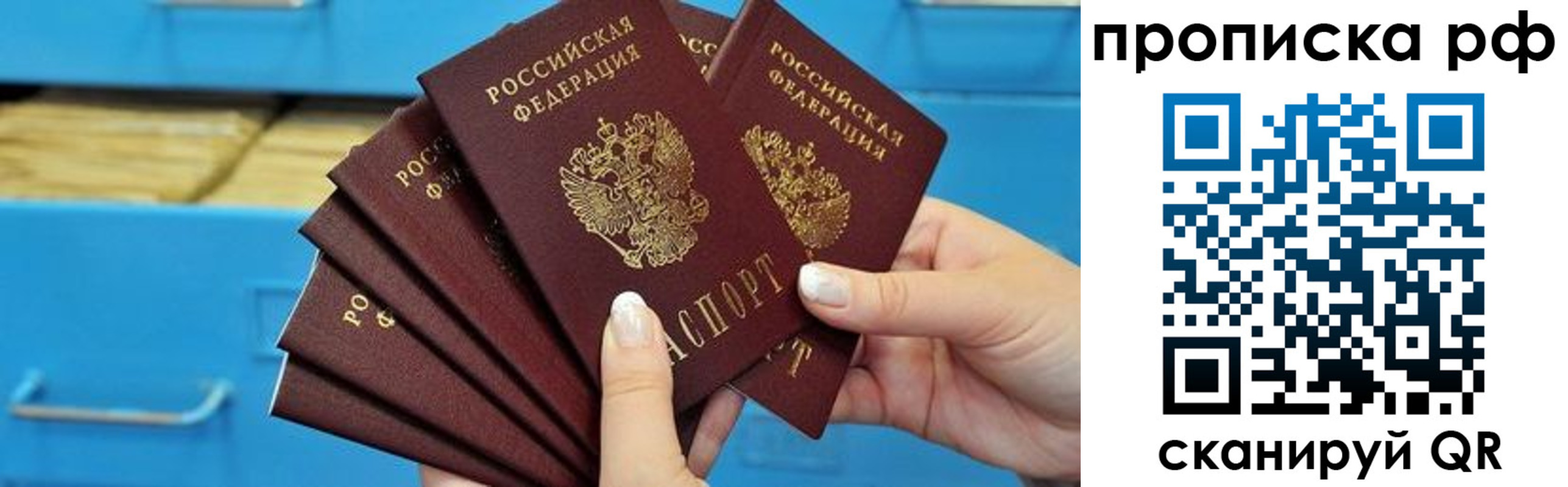 прописка поиск в Лосино-Петровском
